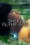 Nonton Film Sheep in the Box (2026) Subtitle Indonesia